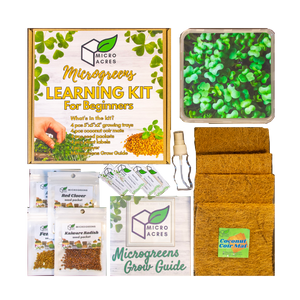 Microgreens Learning Kit for BEGINNERS