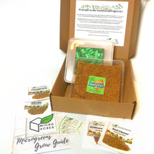 Load image into Gallery viewer, Microgreens Learning Kit for BEGINNERS