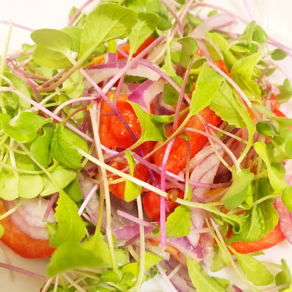 Microgreen Salad with Lemon Vinaigrette