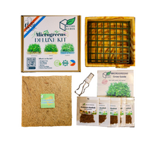 Load image into Gallery viewer, DELUXE Microgreens Starter Kit (Wood Design)